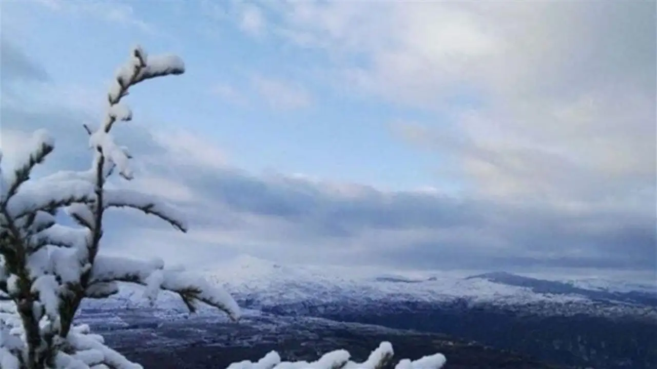 طقس بارد يضرب البلاد وسط تحذيرات جدية من الصقيع وتكون الجليد